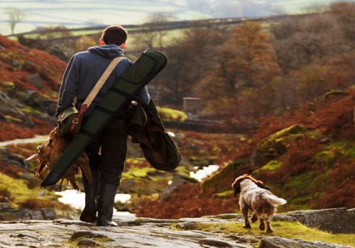 Kann Corona vom Hund auf Menschen übertragen werden?