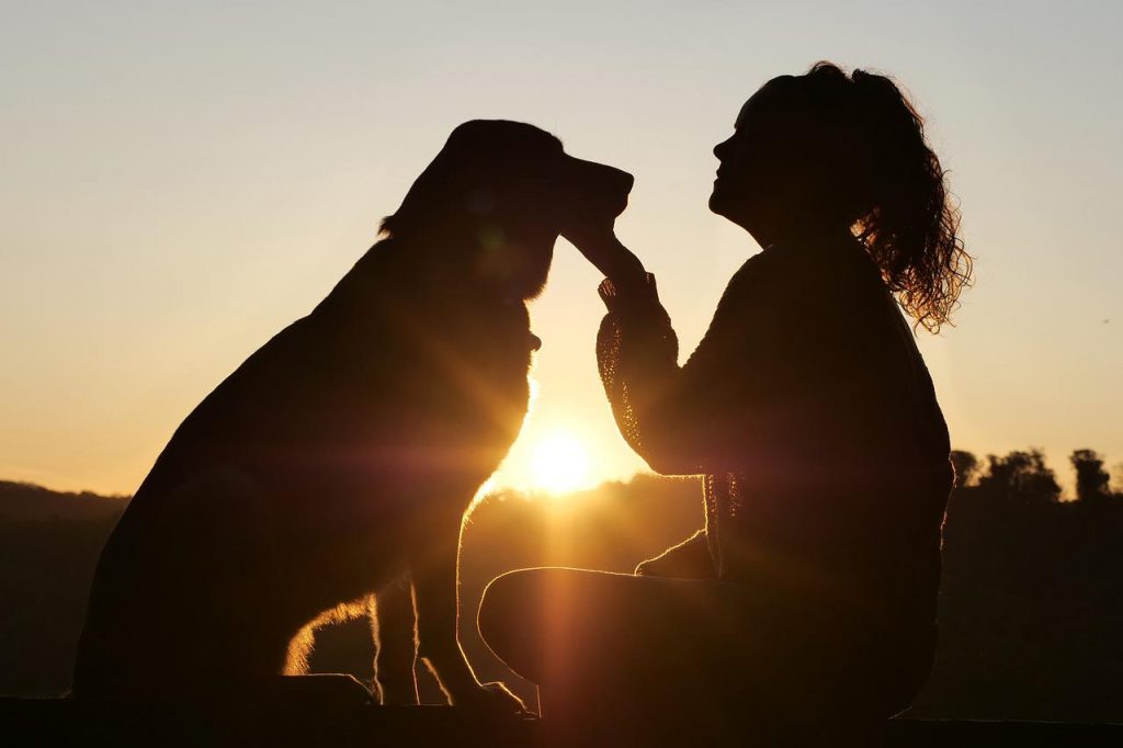 Hund mit Frauchen beim Sonnenuntergang