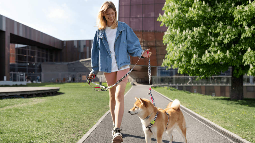 Eine blonde Frau geht mit einem Shiba Inu in einem Park auf einem Weg spazieren